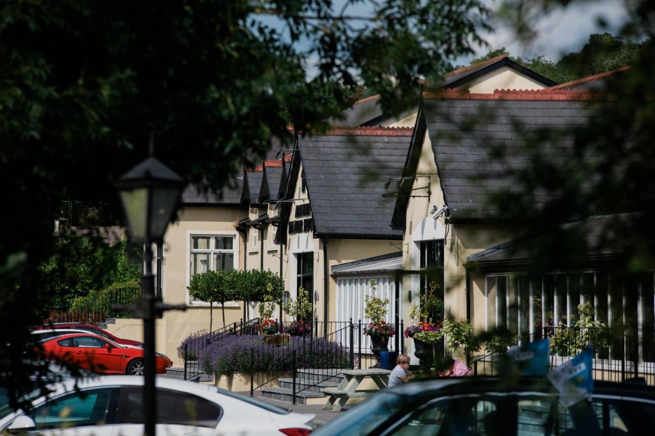 The Abbeyleix Manor Hotel Kültér fotó
